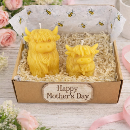 Highland Cow Twin pack