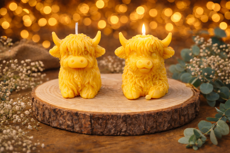 Cheeky Cow Gift Set