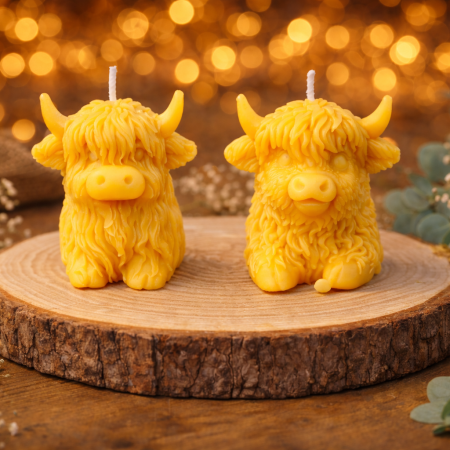 Cheeky Cow Gift Set