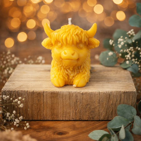 Cheeky Cow Gift Set