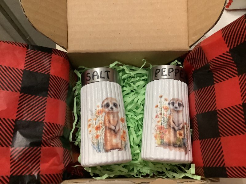Decoupaged Glass Salt and Pepper Pots with Meerkat Designs
