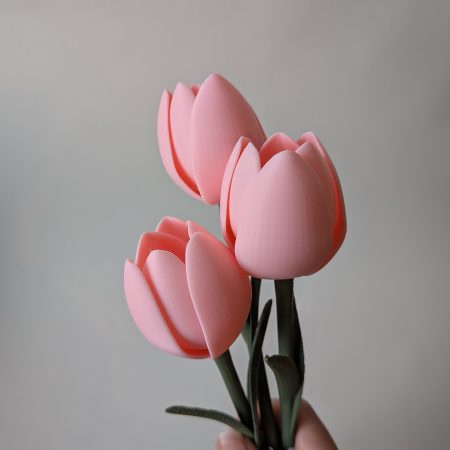 Mother's Day Gift 3D Printed Pink Tulips Bouquet Perfect Gift Home Decor Set of 3 Tulips