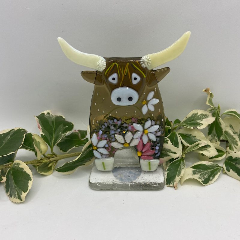 Fused Glass Highland cow with flower detail