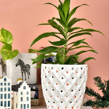 Indoor Planters