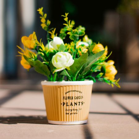 Outdoor Planters