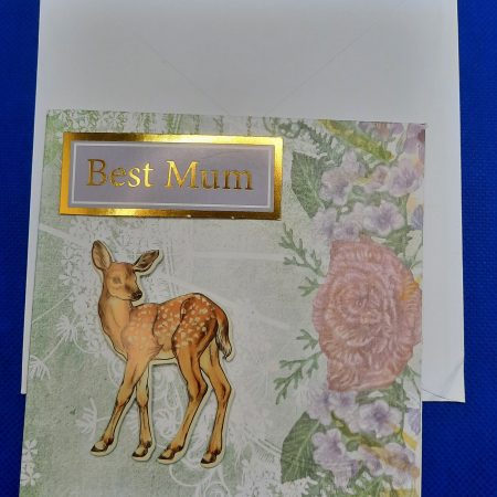 Mother's day Blank greeting card with mum on front