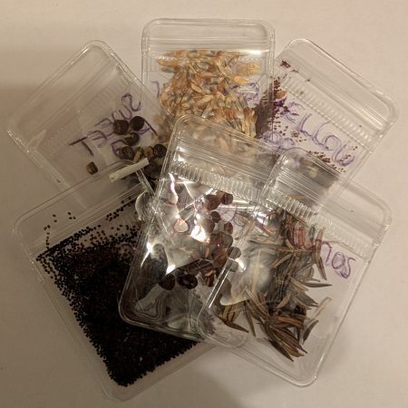 Save a Bee revival kit & wildflower seeds