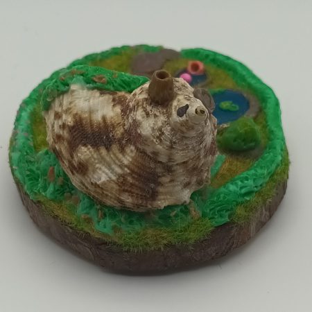 Handmade Polymer Clay Fairy Shell House in Colourful Garden Scene