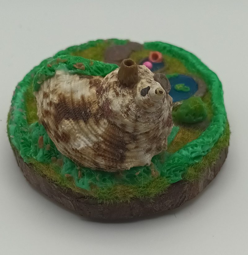 Handmade Polymer Clay Fairy Shell House in Colourful Garden Scene