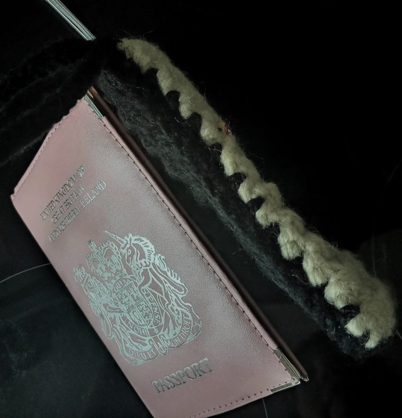 Crochet Passport holder