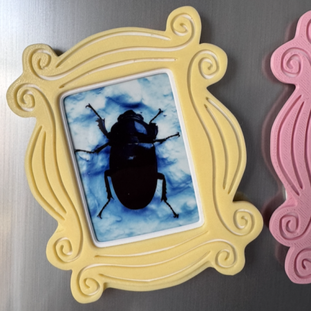 Instant Film Magnetic Photo Frames - Fridge Display