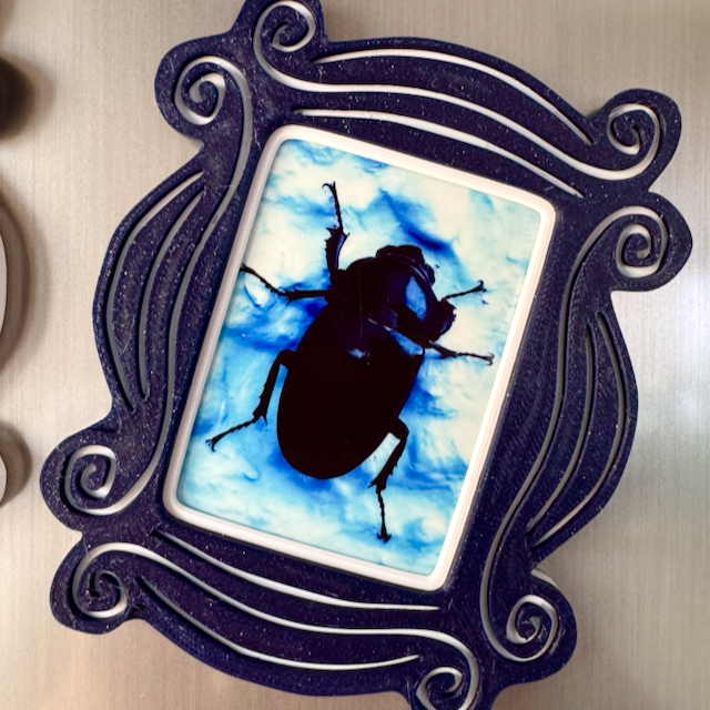 Instant Film Magnetic Photo Frames - Fridge Display