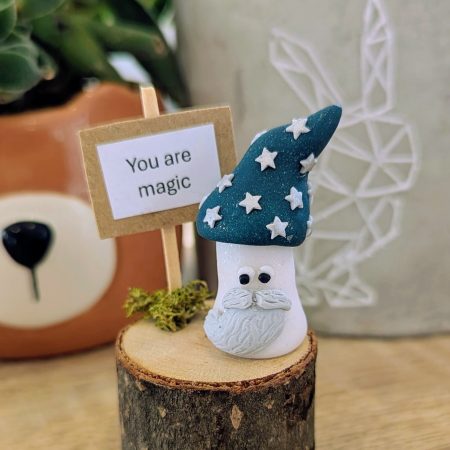 Mini mushroom gift for the mushroom fan