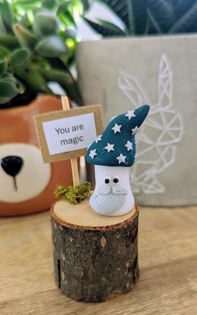 Mini mushroom gift for the mushroom fan