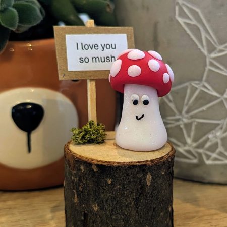 Mini mushroom gift for the mushroom fan