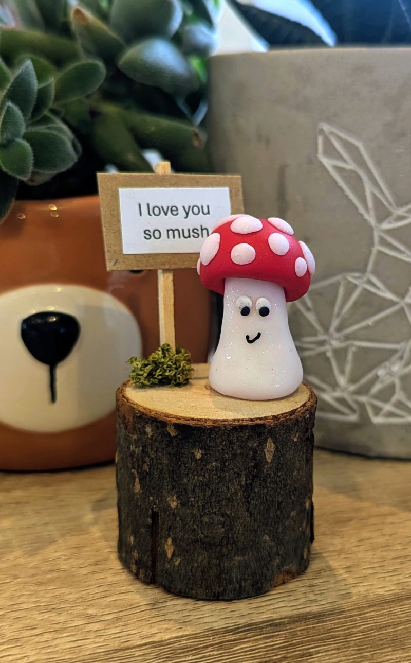 Mini mushroom gift for the mushroom fan