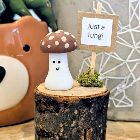 Mini mushroom gift for the mushroom fan