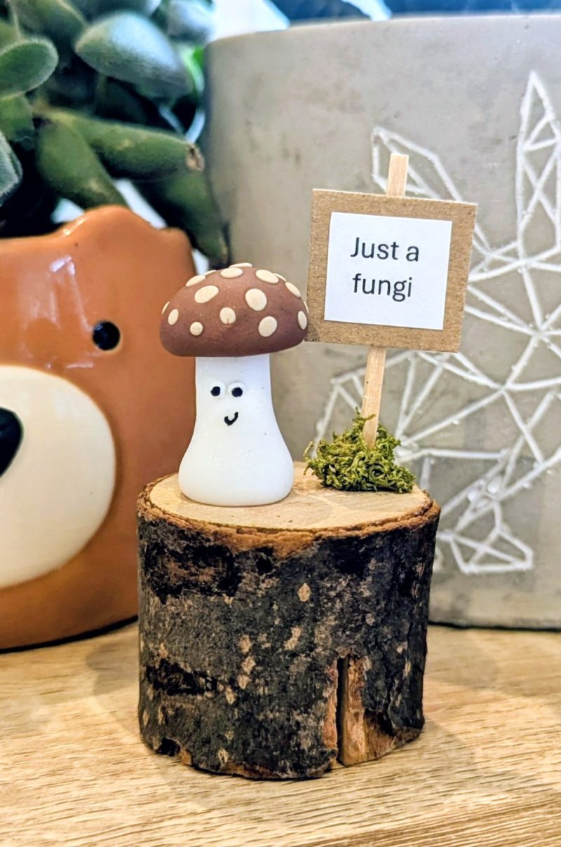 Mini mushroom gift for the mushroom fan