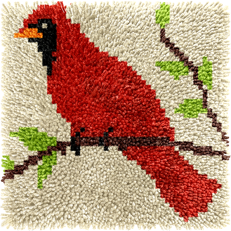 Children’s Rug Making Latch Hooking Kit | Cardinal
