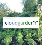 Melon Plants – Emir F1 x 4 - suits the UK Climate