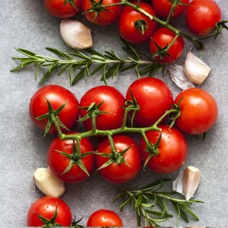 Tomato Plants - Gardener's Delight x 4
