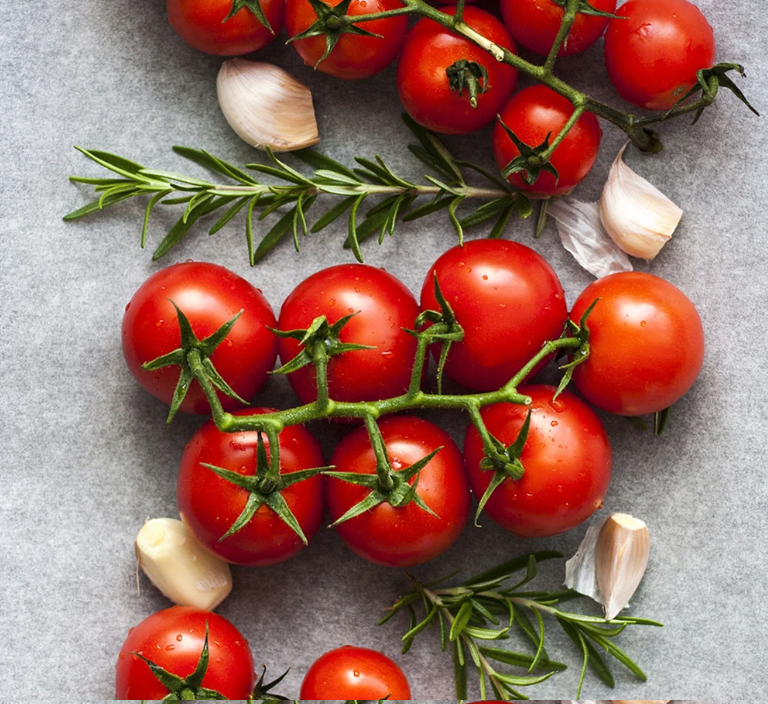 Tomato Plants - Gardener's Delight x 4