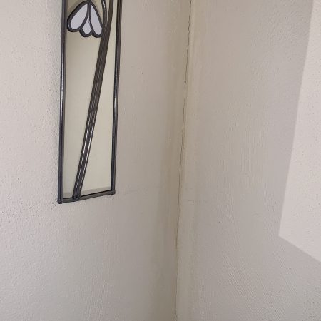 Stained glass effect Mirrir with Art Nouveau Snowdrops