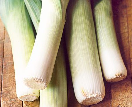 Leek Plants – Musselburgh x 40