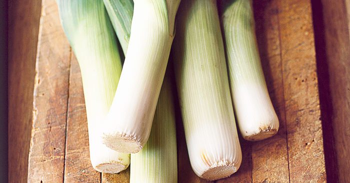 Leek Plants – Musselburgh x 40