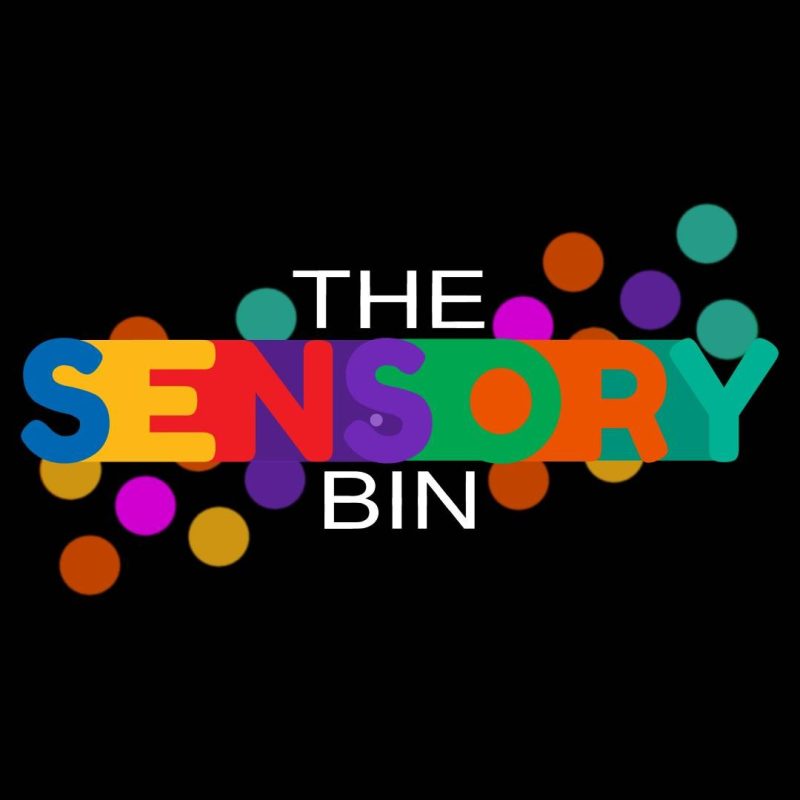 The Sensory Bin