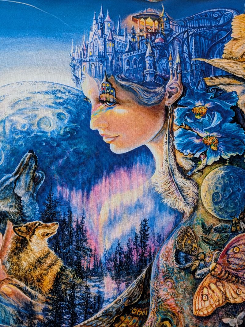 Winter moon fantasy art cushion cover with wolves, owl, northern lights and mystical night landscape