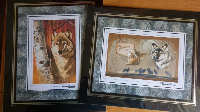 2 Wolf Mounted Pictures 12 x 10