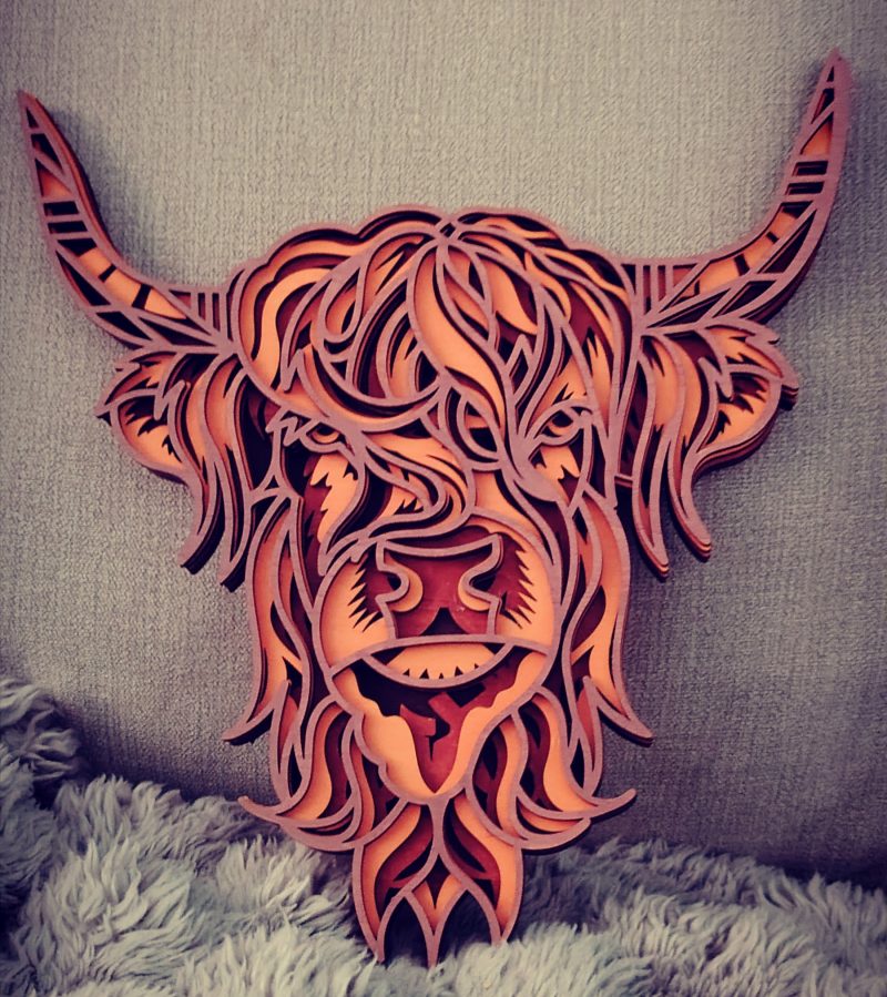 Multi-layered Highland Cow