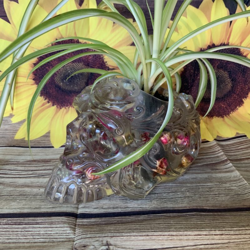 Ornate Skull Succulent Planter Rose Bud. Plant not included!