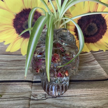 Ornate Skull Succulent Planter Rose Bud. Plant not included!