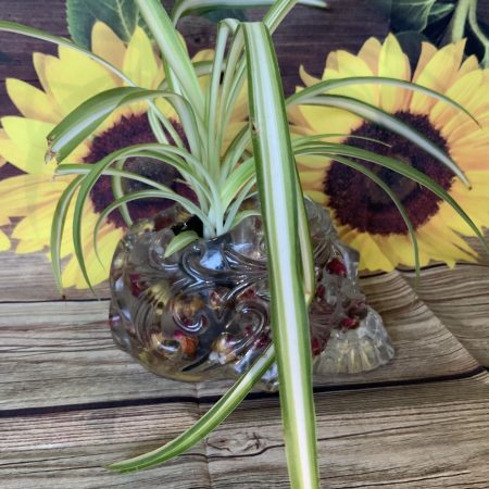 Ornate Skull Succulent Planter Rose Bud. Plant not included!