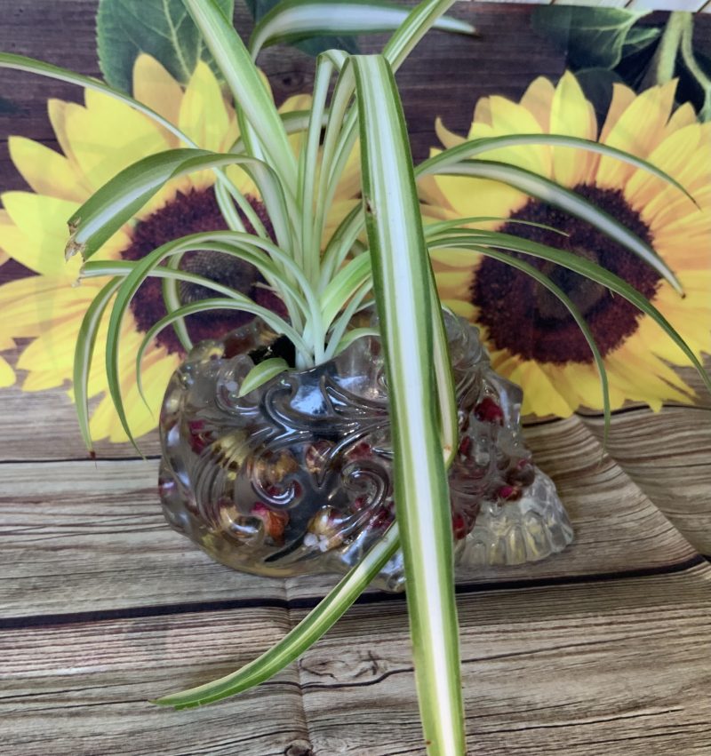 Ornate Skull Succulent Planter Rose Bud. Plant not included!