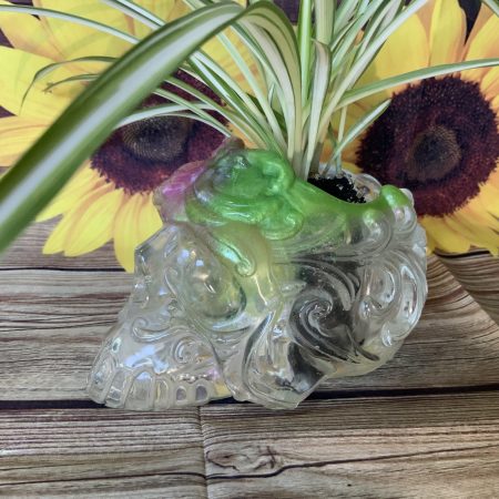 Ornate Skull Succulent Planter Clear Green Pink. Plant not included! (Copy)