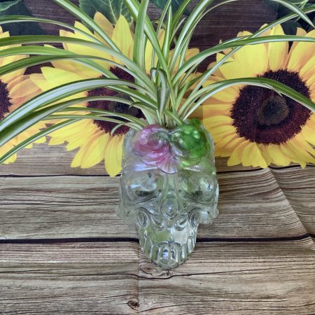 Ornate Skull Succulent Planter Clear Green Pink. Plant not included! (Copy)