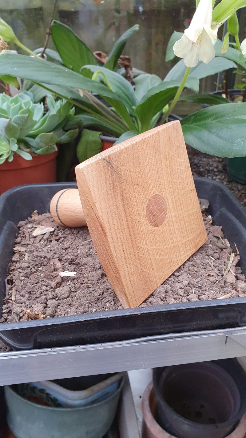 Seed tray Tamper 10cm square made from salvaged oak wood