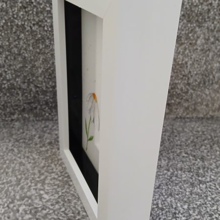 Daisy and Bee Original Framed Watercolour Painting