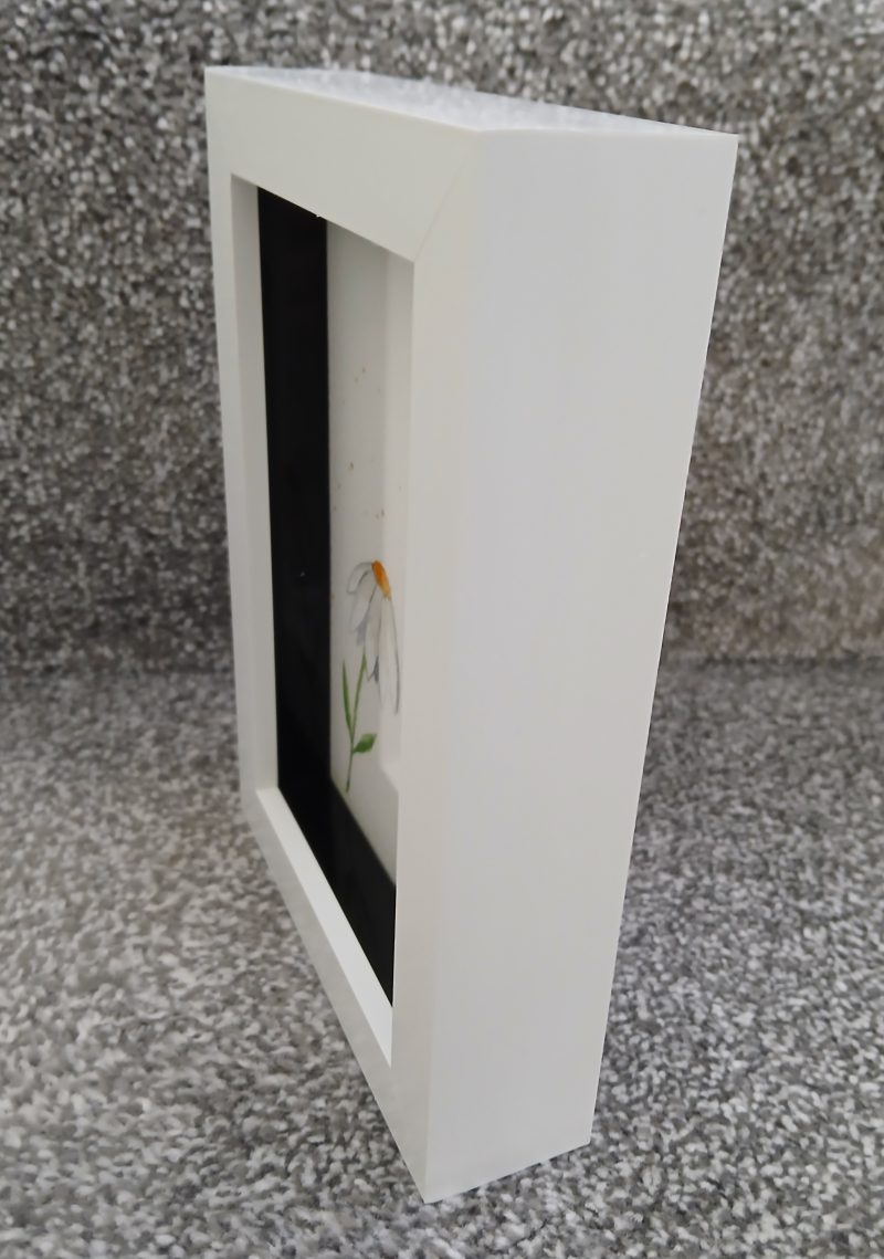 Daisy and Bee Original Framed Watercolour Painting