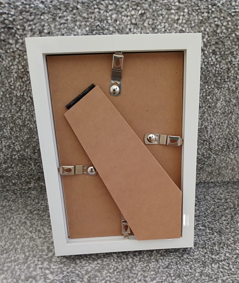 Daisy and Bee Original Framed Watercolour Painting