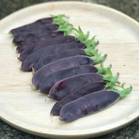 12 x PEA PLANTS - Purple 'mangetout' Shiraz - Seedlings - Plug Plants - snow