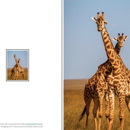 Giraffe greeting card, blank inside, 6x4”