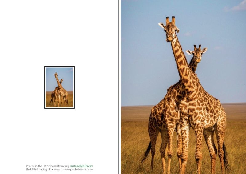 Giraffe greeting card, blank inside, 6x4”