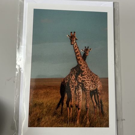 Giraffe greeting card, blank inside, 6x4”
