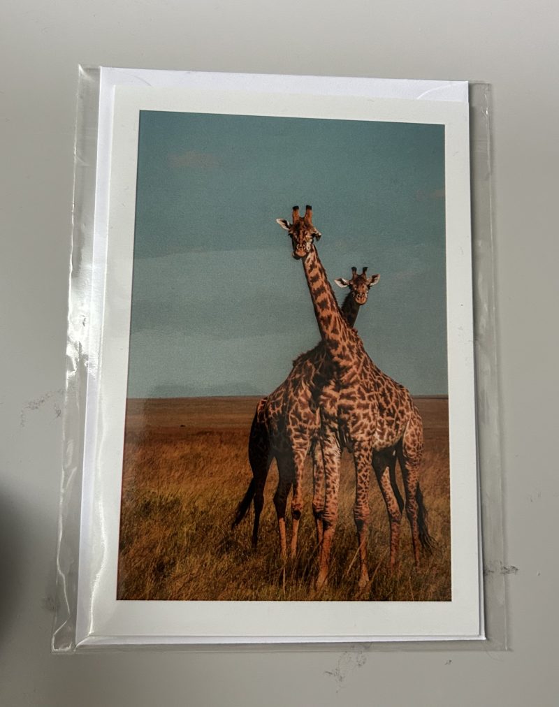 Giraffe greeting card, blank inside, 6x4”