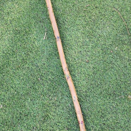 Hand crafted wooden staff with owl, fox, flowers, acorns 53in