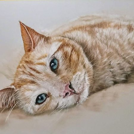 Portrait of a Ginger Cat